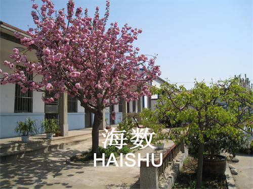 公司環境